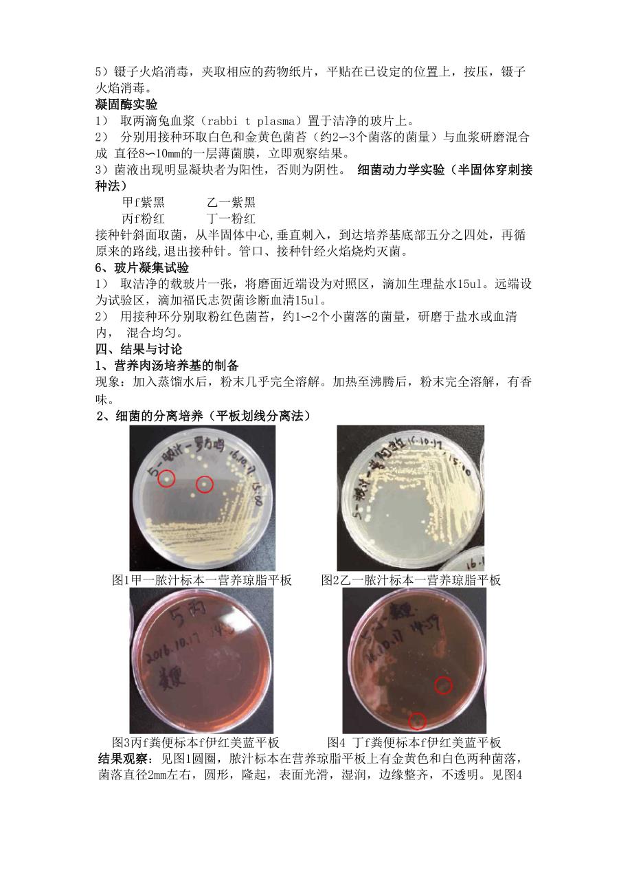 脓汁和粪便标本中病原菌的检测实验报告_第3页