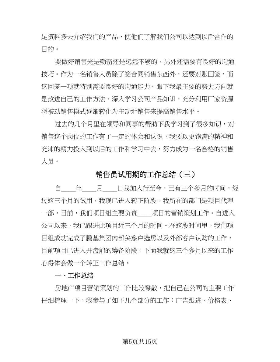 销售员试用期的工作总结（4篇）.doc_第5页