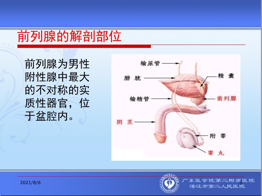 良性前列腺增生症_第3页