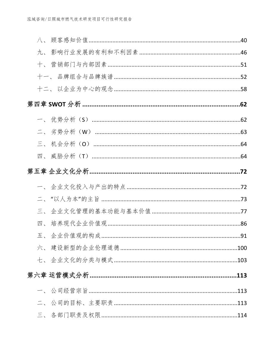 日照城市燃气技术研发项目可行性研究报告范文参考_第2页