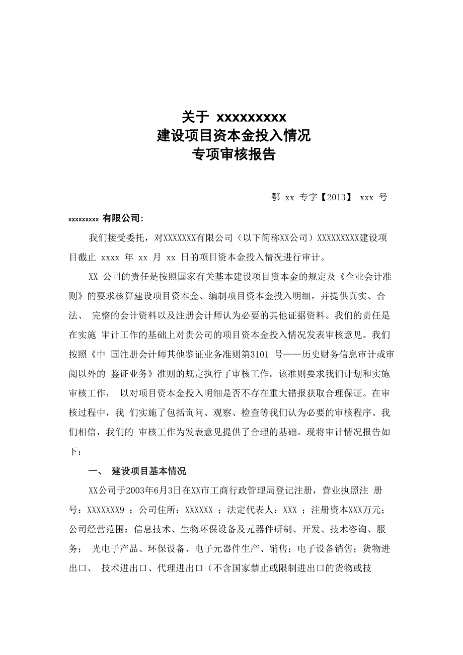 建设项目资本金专项审计模板_第1页