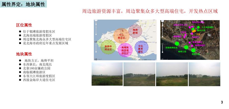 智弘投资广东南路住宅项目营销策划报告106p_第4页