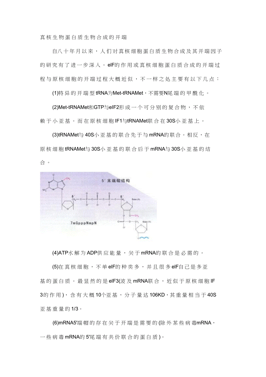 真核生物蛋白质生物合成的起始.doc_第1页