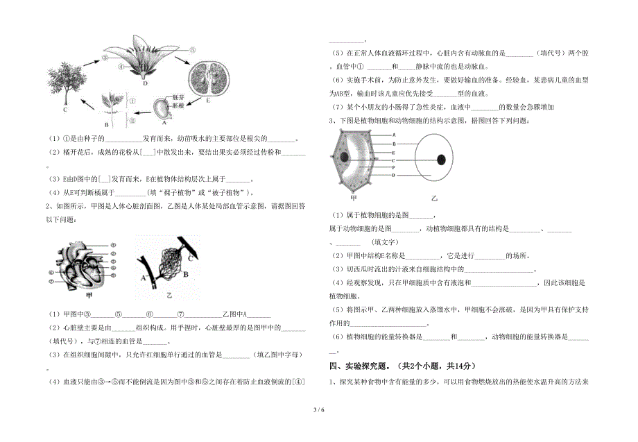 苏教版七年级《生物》上册期末试卷(A4打印版).doc_第3页