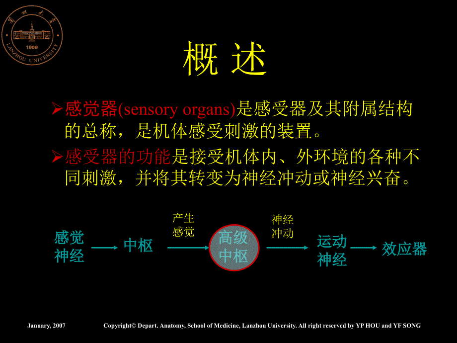 20感觉器总论视器_第2页