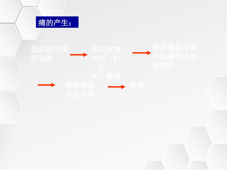 镇痛药教学课件_第2页