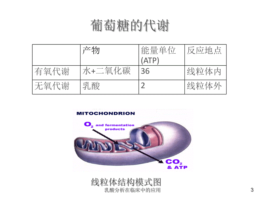 乳酸分析在临床中的应用课件_第3页