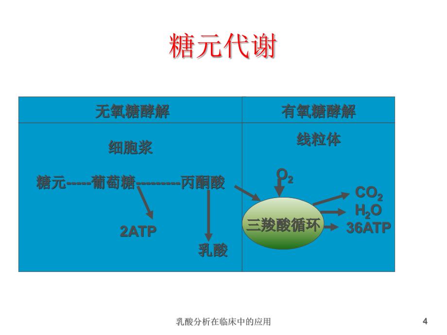 乳酸分析在临床中的应用课件_第4页