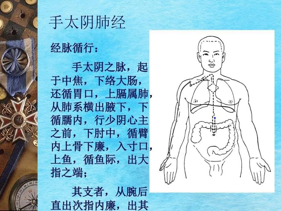 肺经大肠经推拿陈犹得ppt课件_第5页