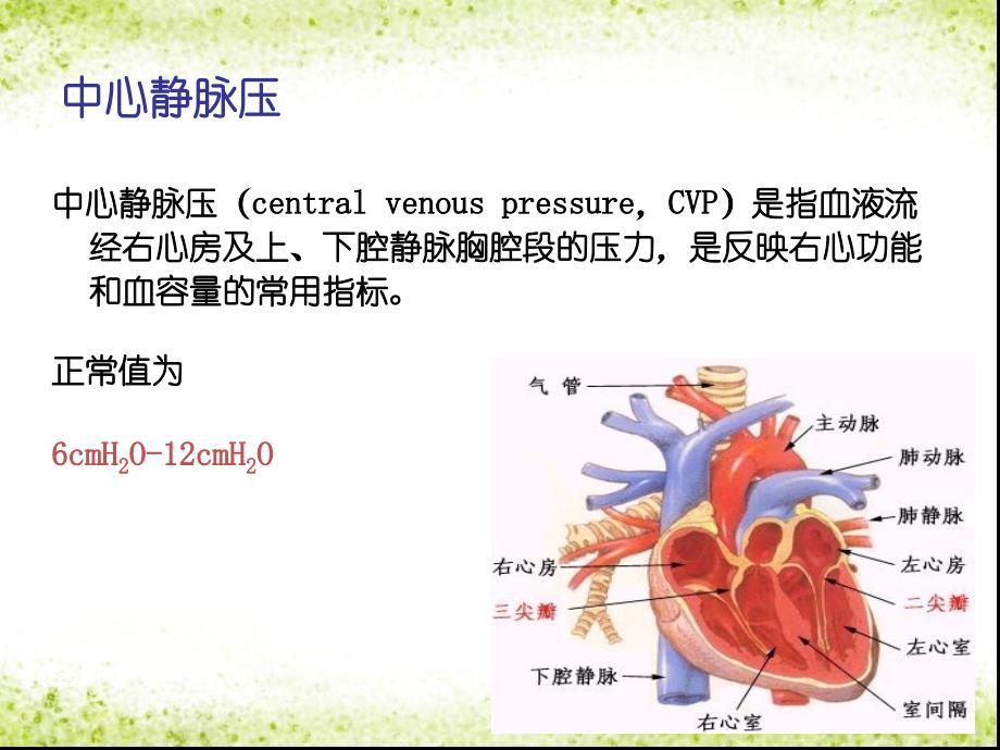 小讲课——中心静脉压的测量及临床意义_第2页