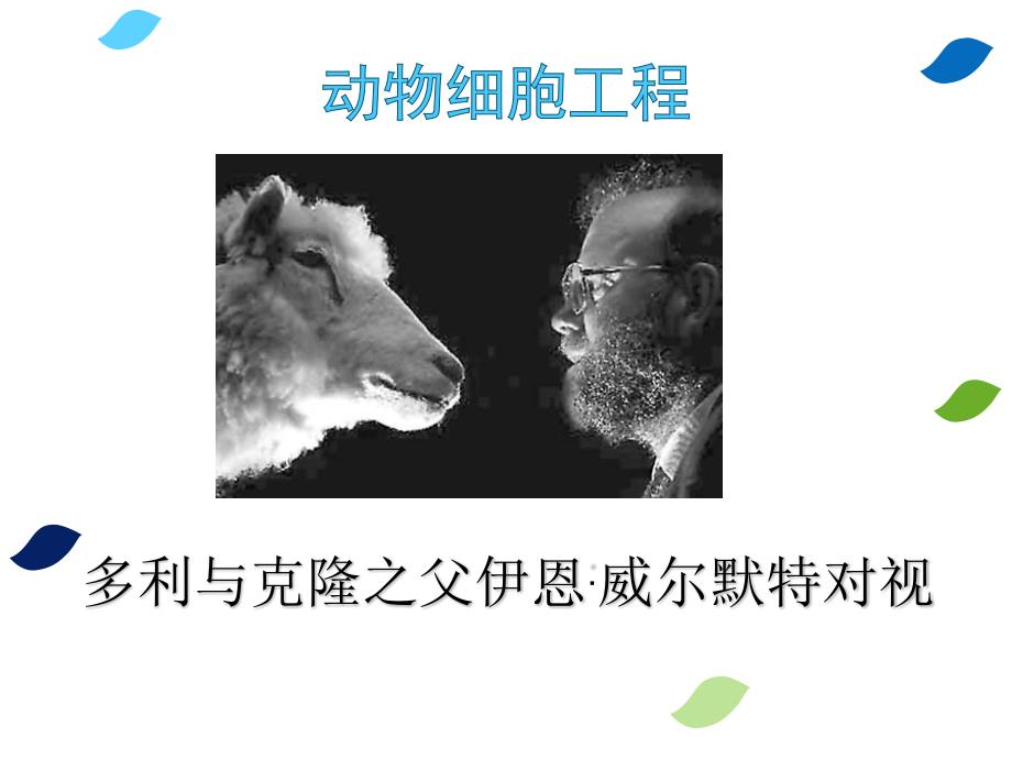 与生物学有关的职业生物技术产业的研发人员_第3页