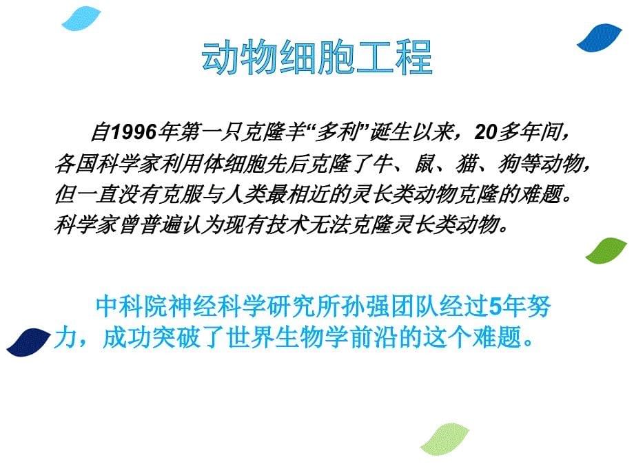 与生物学有关的职业生物技术产业的研发人员_第5页