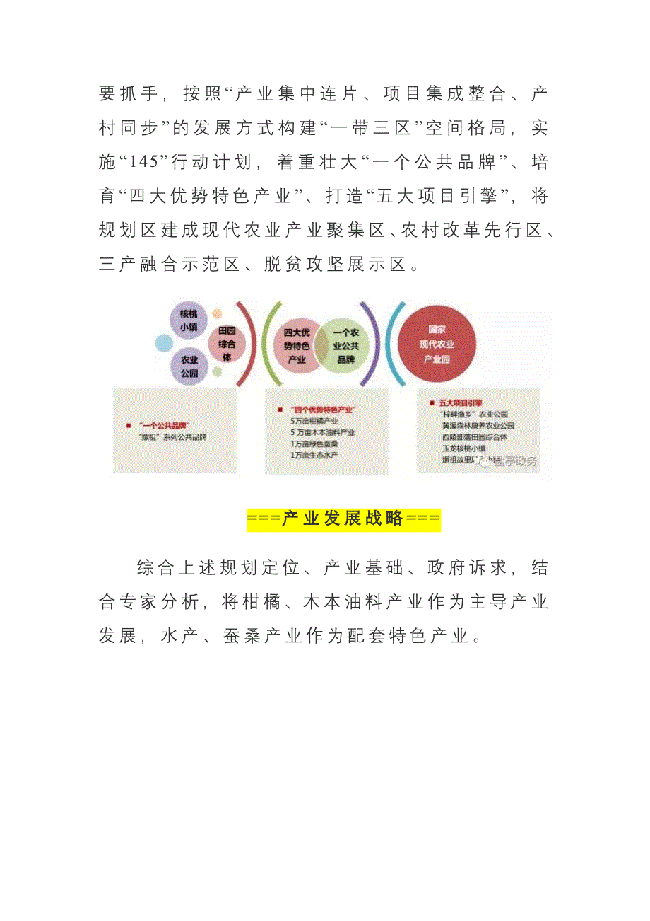 四川省盐亭国家现代农业产业园总体规划.doc_第4页