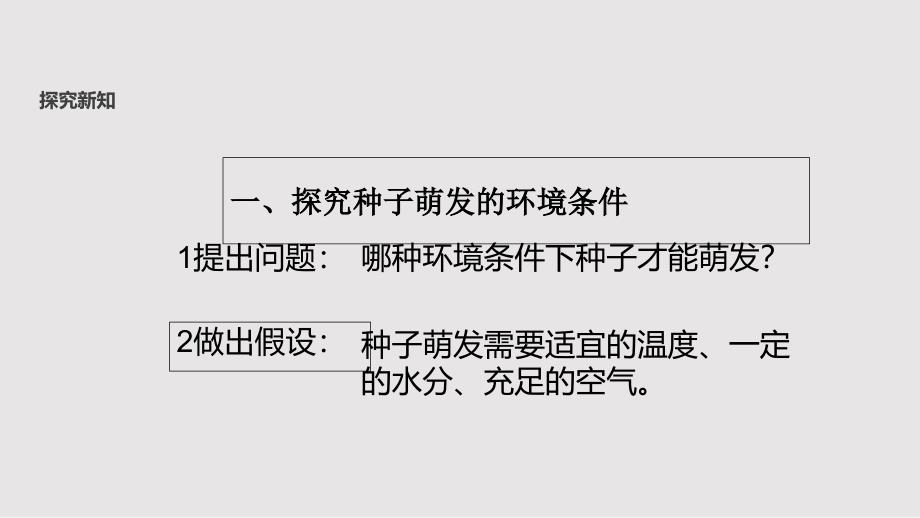 冀少版八年级上册生物课件：3.1.2《种子萌发的条件》_第3页