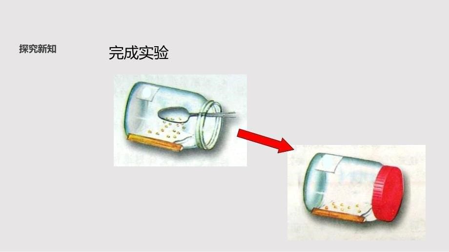 冀少版八年级上册生物课件：3.1.2《种子萌发的条件》_第5页