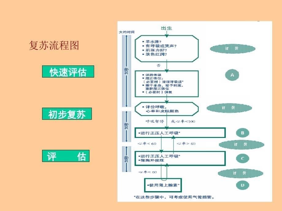 新生儿窒息复苏_第5页