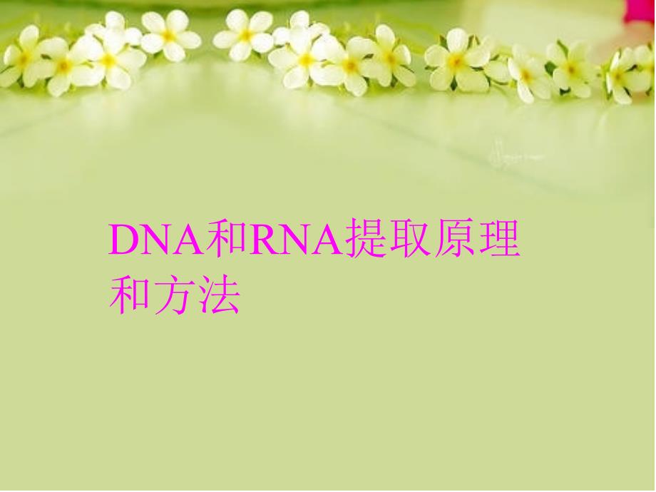 DNA和RNA提取原理和方法教案资料_第1页