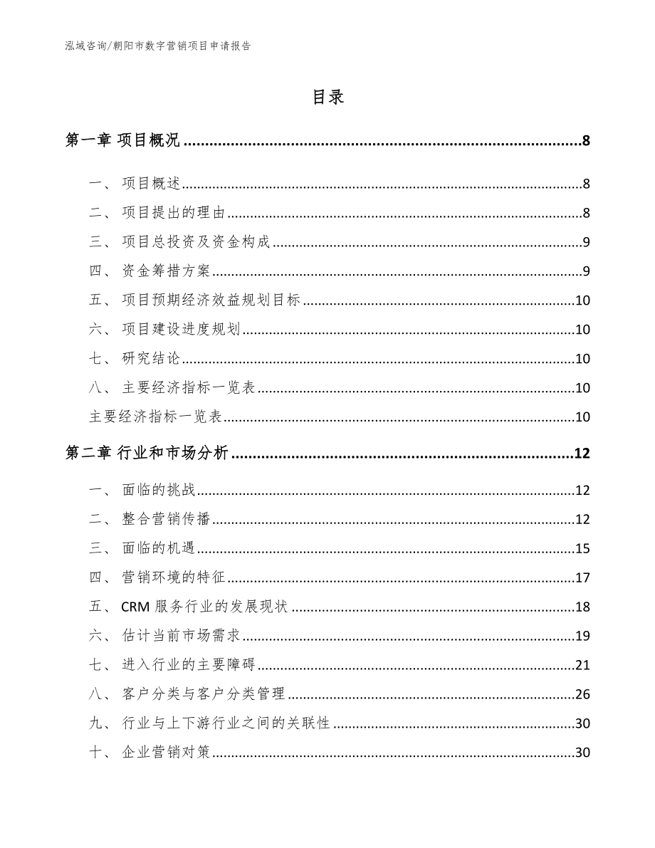 朝阳市数字营销项目申请报告模板_第2页