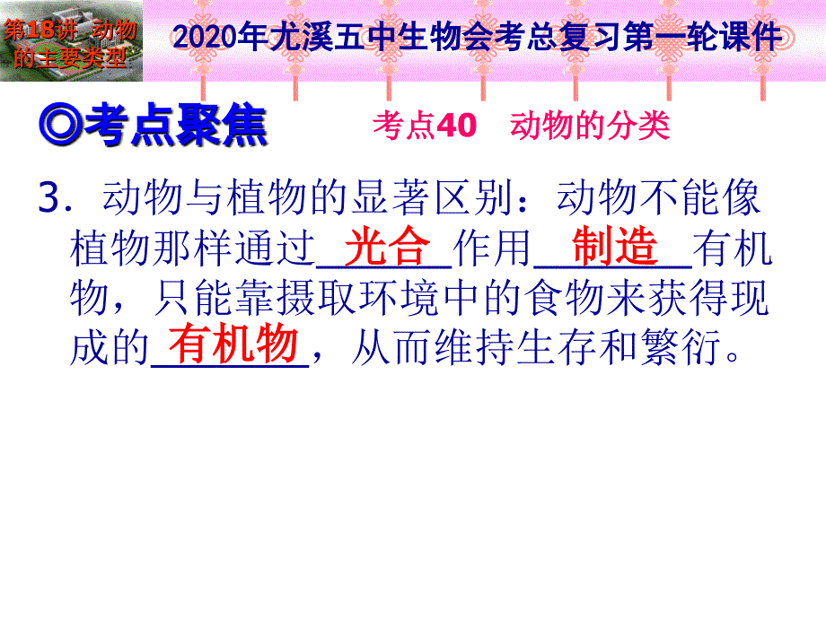 2020年生物总复习第一轮-第18讲-动物的主要类型课件_第3页