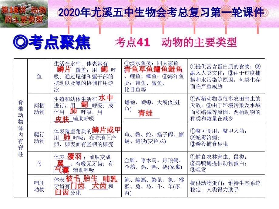 2020年生物总复习第一轮-第18讲-动物的主要类型课件_第5页