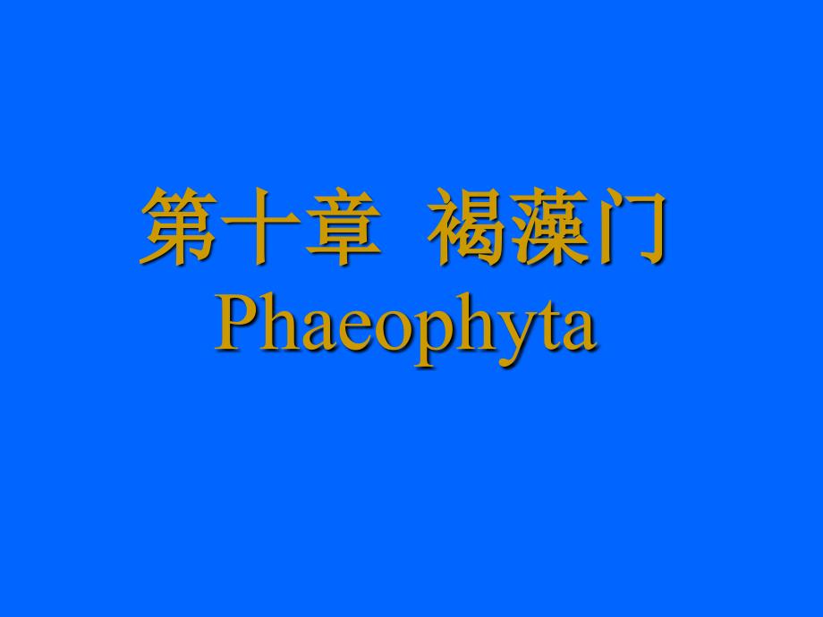 【教学课件】第十章褐藻门Phaeophyta_第1页