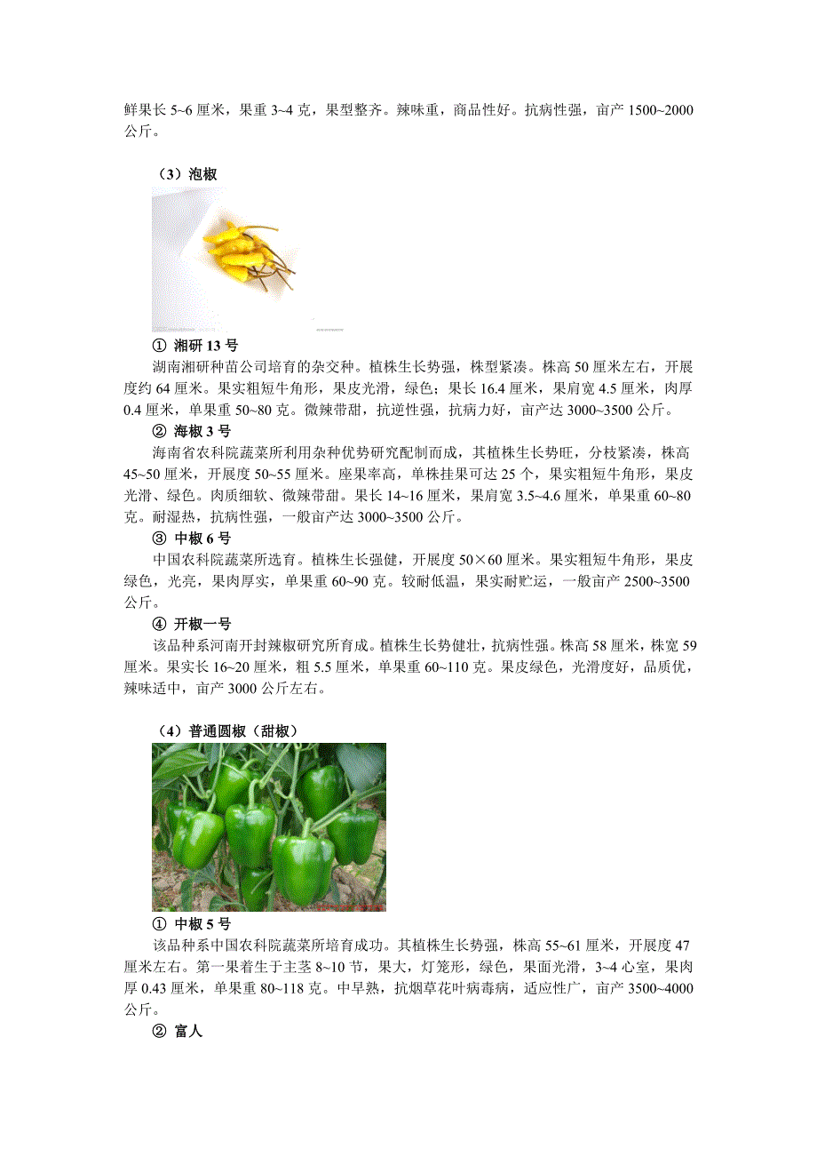 主要瓜菜优良品种介绍.doc_第3页