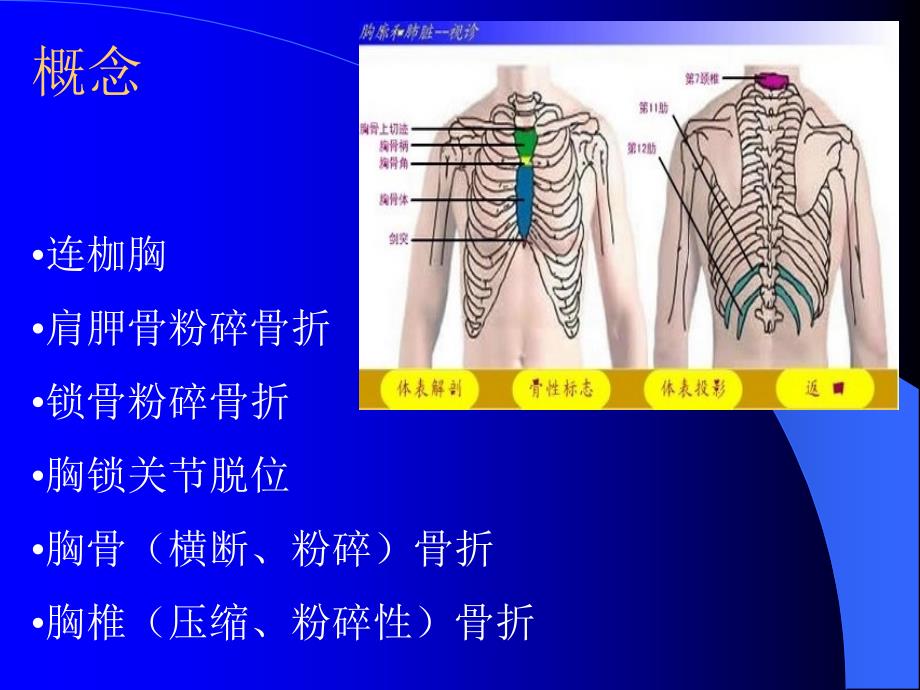 严重胸廓创伤的修复_第4页