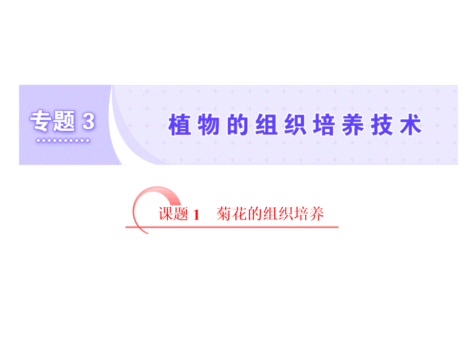 高二生物人教版选修一教学课件：专题三　课题1　菊花的组织培养_第1页