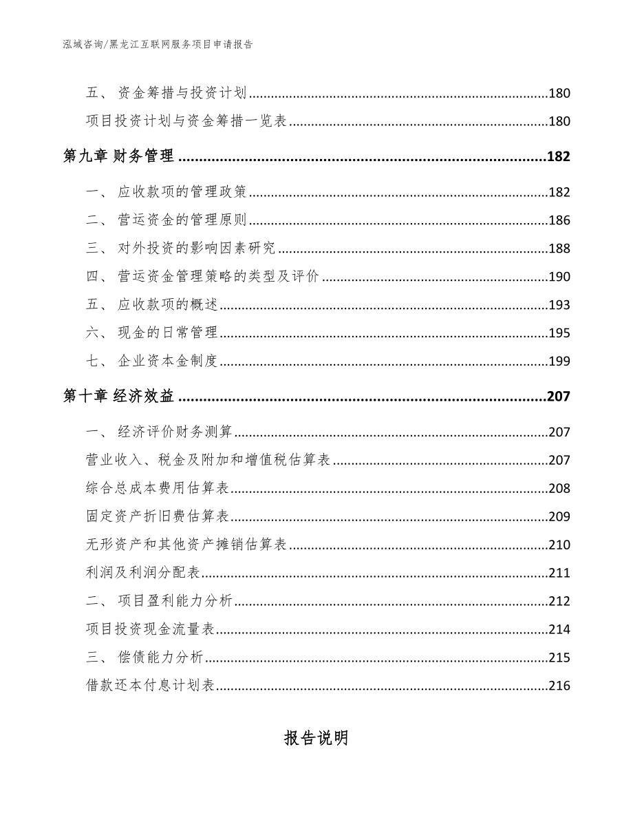黑龙江互联网服务项目申请报告【模板参考】_第4页