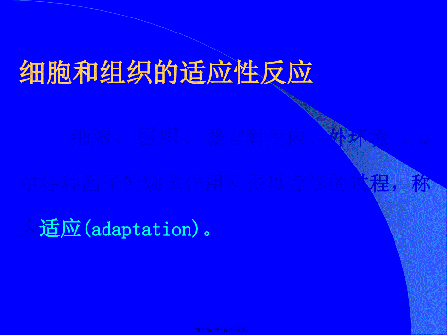 医学专题—细胞组织损伤和修复_第3页