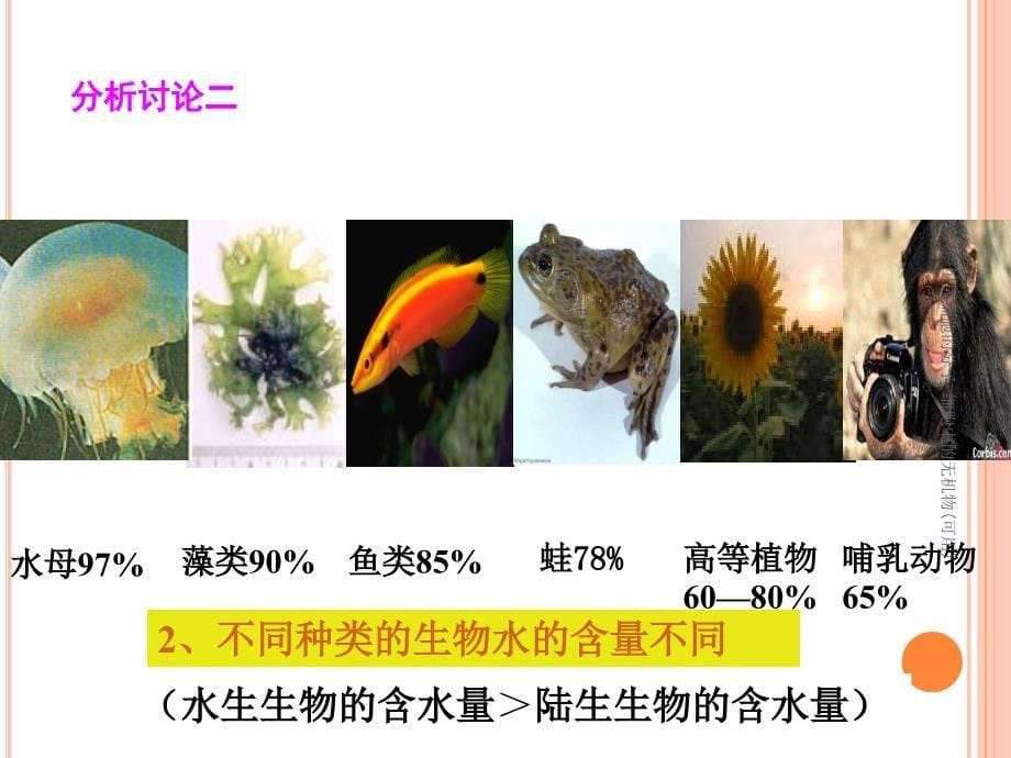 组成细胞的分子细胞中的无机物可用课件_第5页