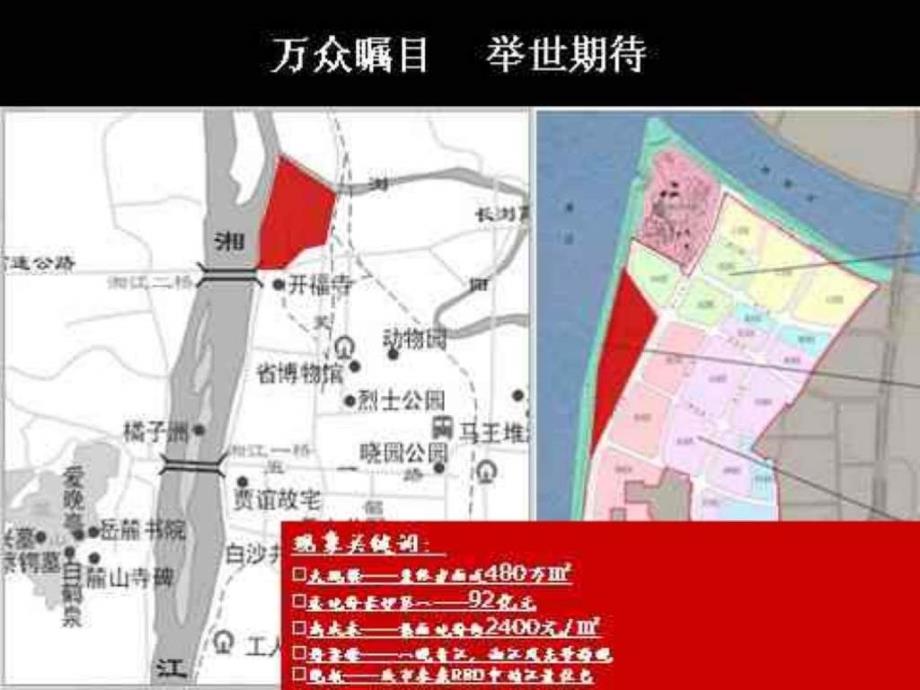 xx代理长沙北辰新河三角洲D1地块投标汇报_第3页