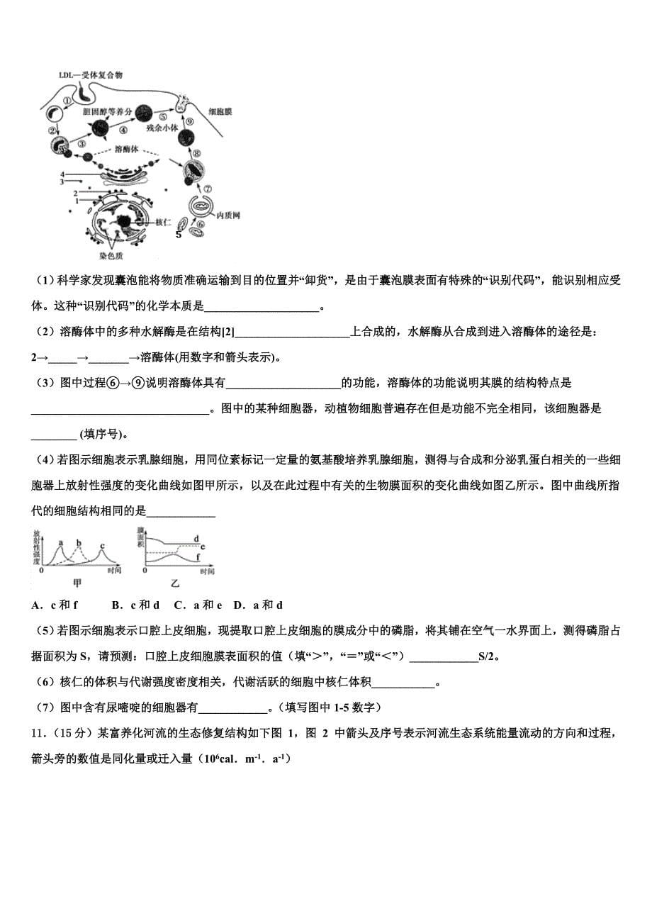 2023学年湖南省湘南中学高三第五次模拟考试生物试卷(含解析）.doc_第5页