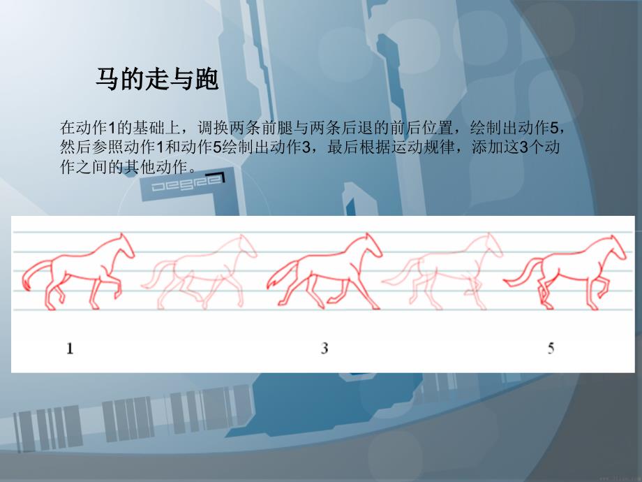 《动物运动规律》PPT课件_第3页