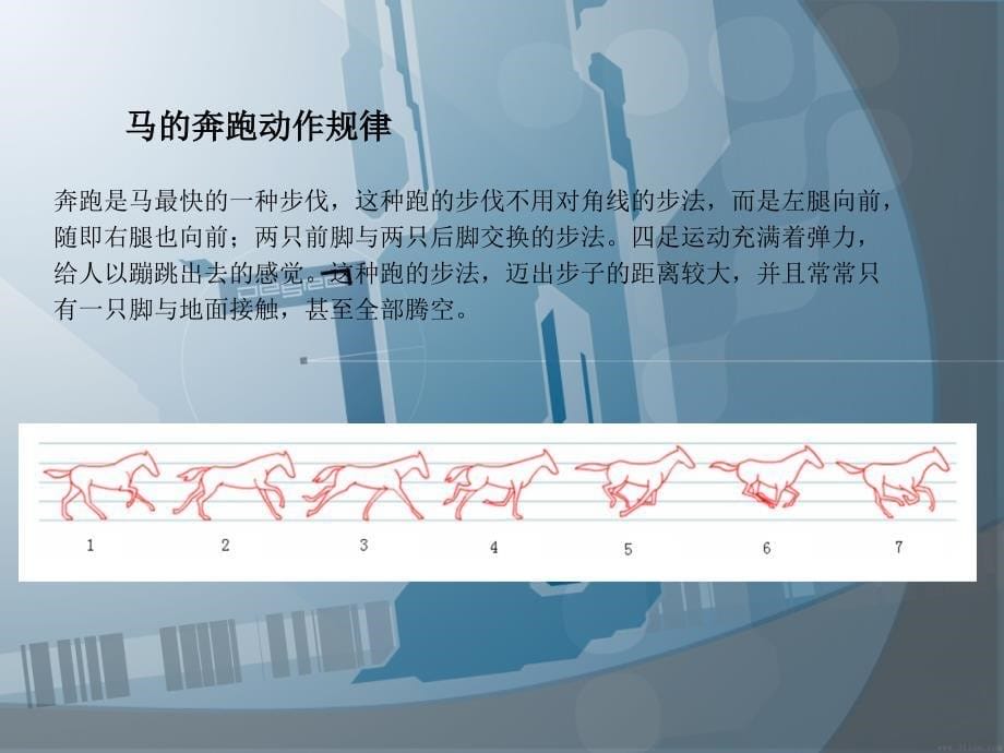 《动物运动规律》PPT课件_第5页