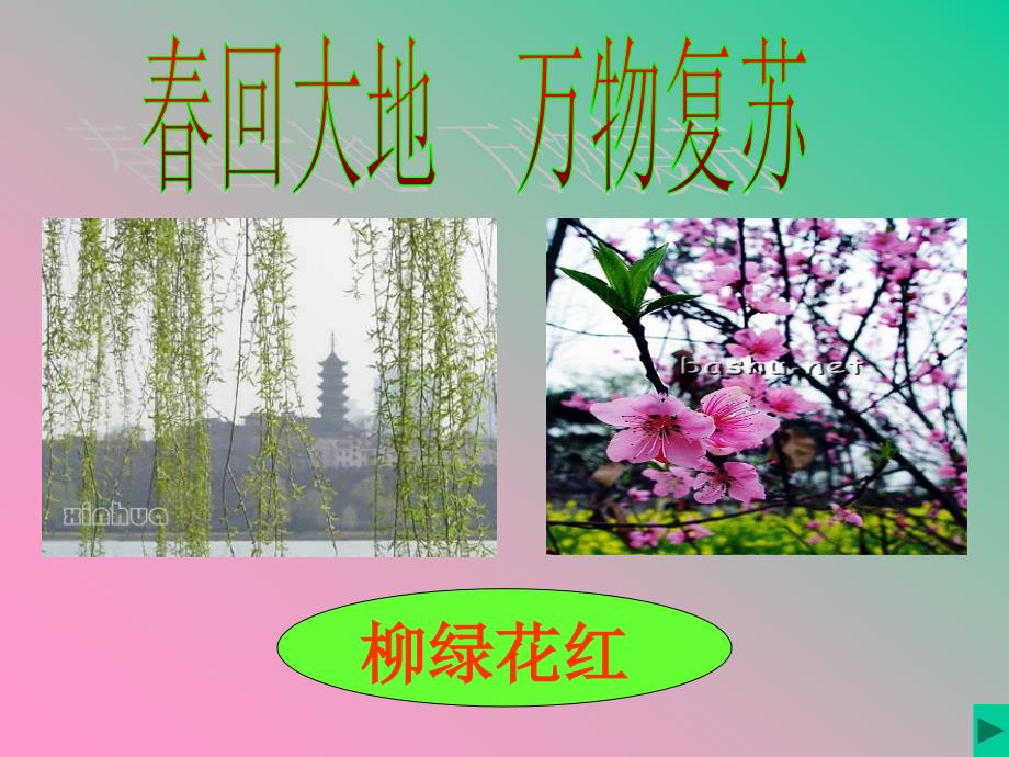 《春雨的色彩》（1）课件_第3页