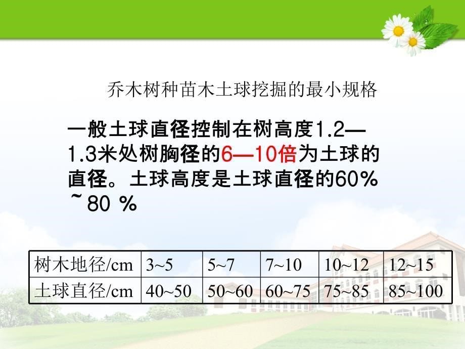 园林树木栽植注意事项ppt课件_第5页