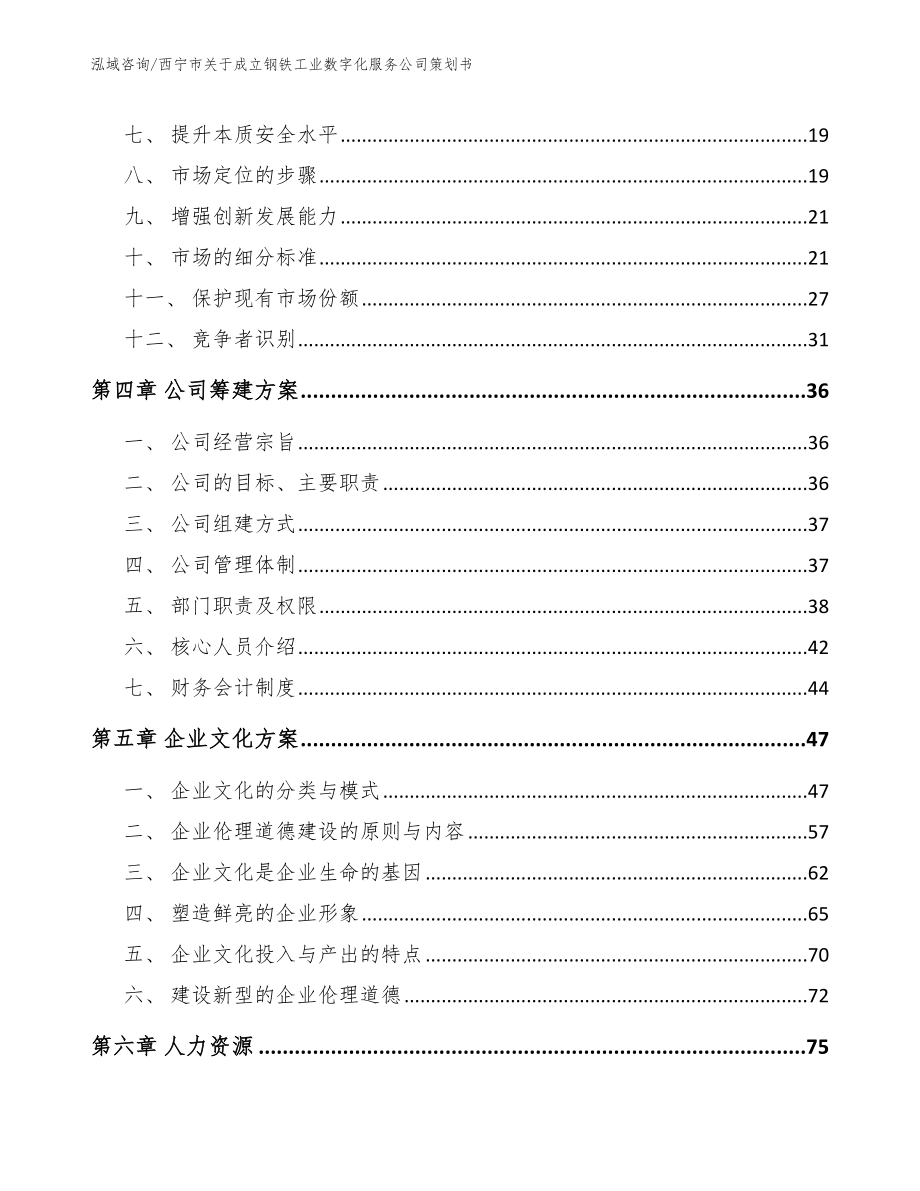 西宁市关于成立钢铁工业数字化服务公司策划书_模板范文_第3页