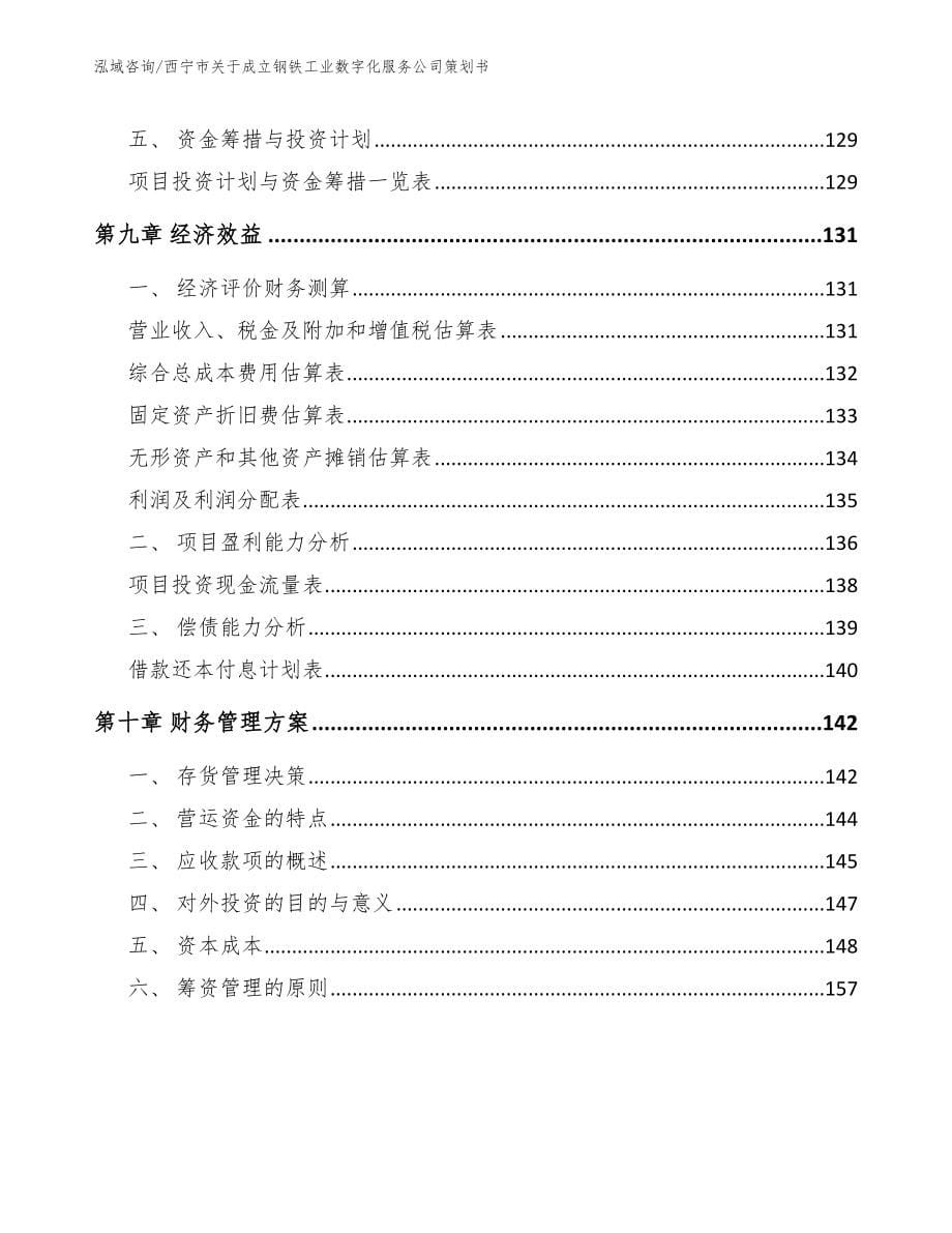 西宁市关于成立钢铁工业数字化服务公司策划书_模板范文_第5页