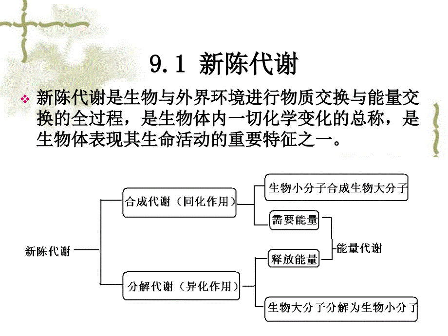 生物能学和生物氧化课件_第2页