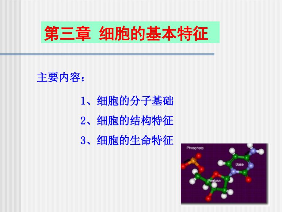 细胞生物学：第三章 细胞基本特征_第1页