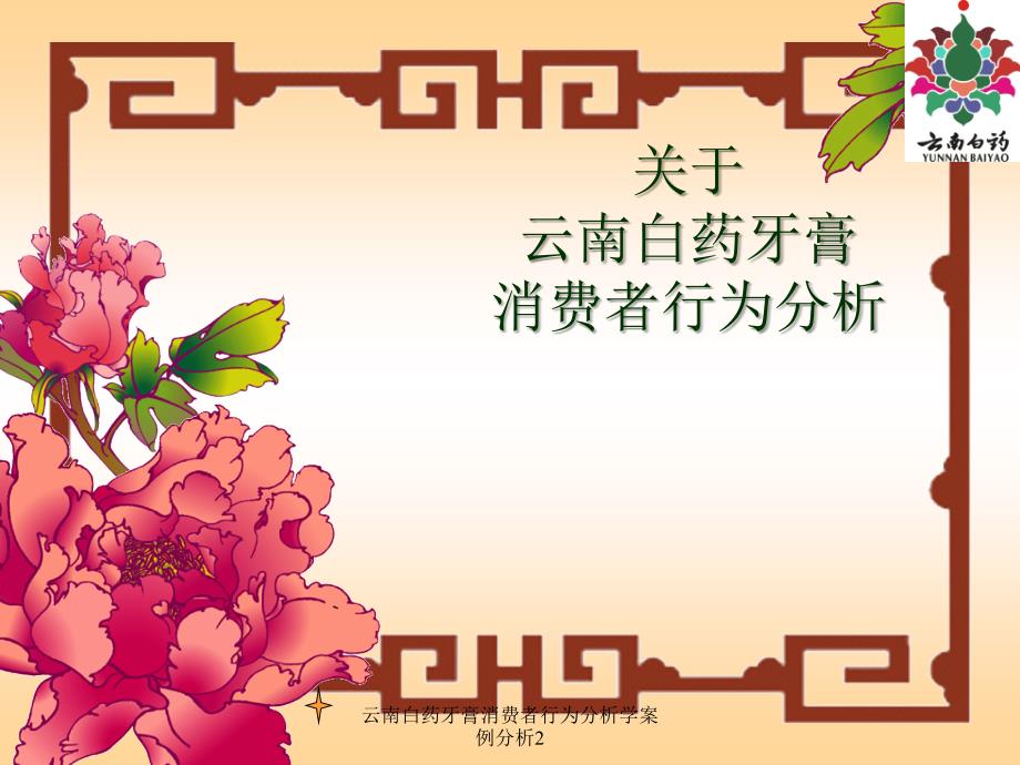 云南白药牙膏消费者行为分析学案例分析2课件_第1页