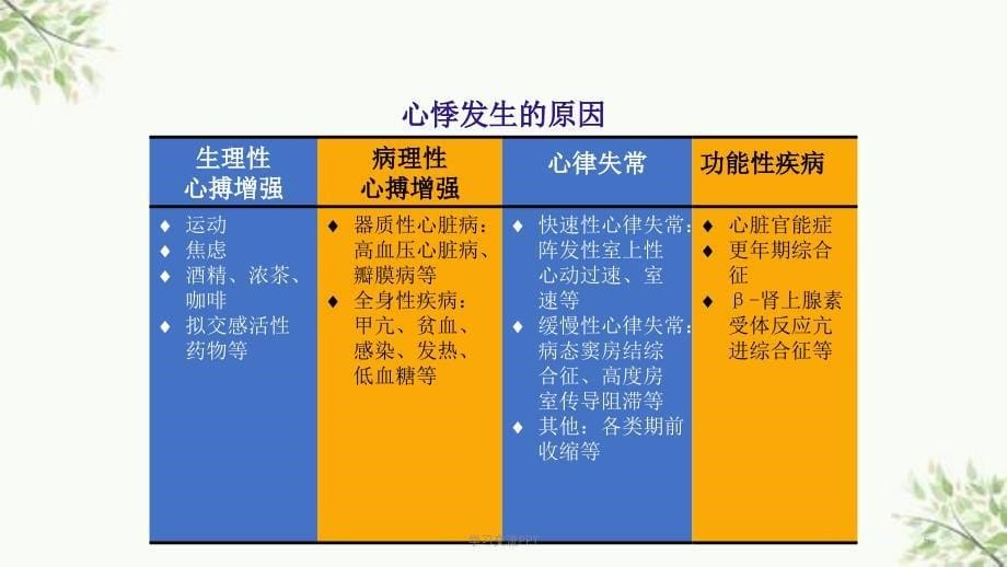 心悸的鉴别诊断课件_第5页