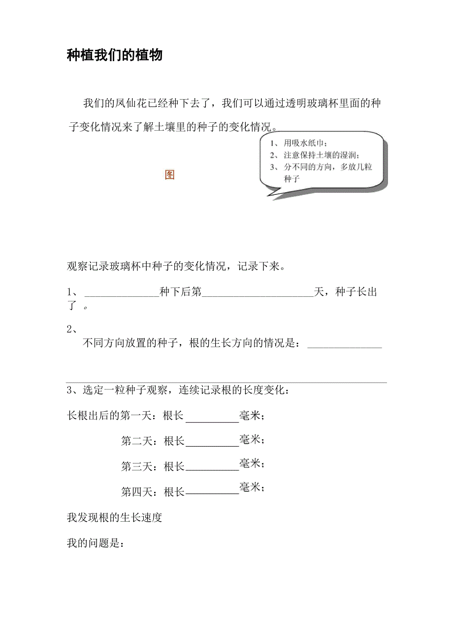 凤仙花记录_第3页