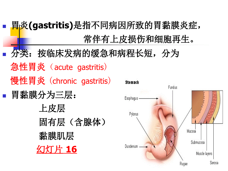 胃炎病人的护理课件_第3页