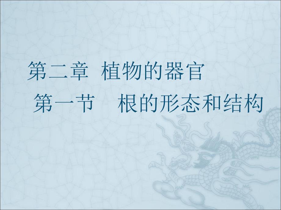 根的形态和结构_第1页