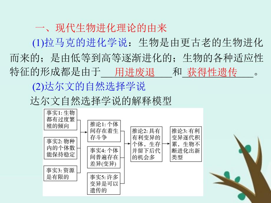 内蒙古乌兰察布市高考生物总复习 专题 现代生物进化理论课件_第3页