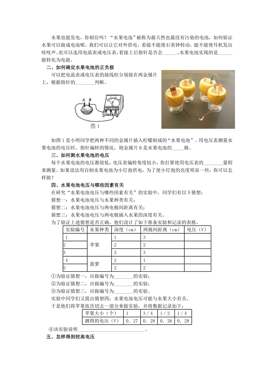 物理水果电池制作.doc_第2页