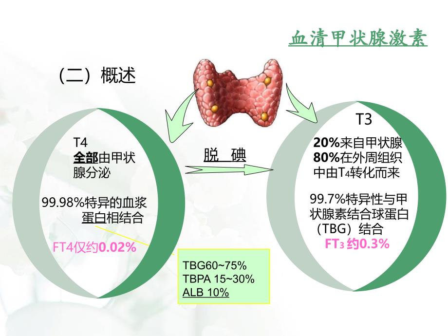 甲状腺功能指标解读_第4页