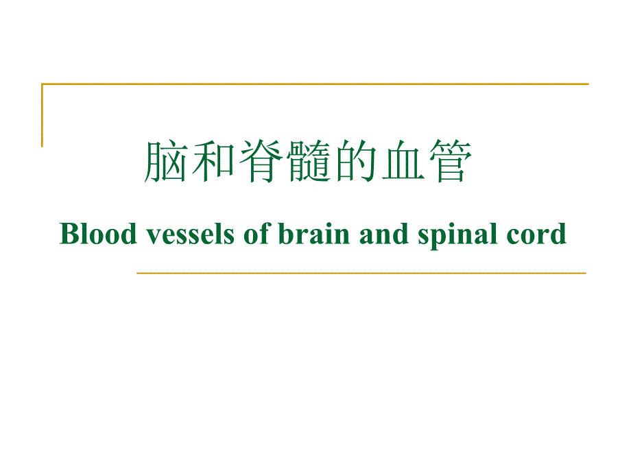 脑和脊髓的血管_第1页